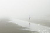 Jogging in fog