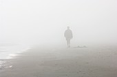 Walking in fog