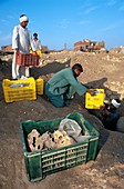 Excavating Islamic mummies,Egypt