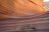 The Wave rock formation,Arizona,USA