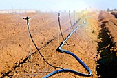 Agricultural irrigation