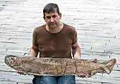 Palaeontologist with fish fossil