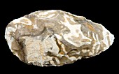 Acheulean stone tool