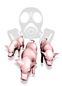 Swine flu protection,conceptual image