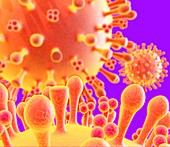 Flu virus particles,artwork