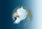 Arctic exploration,route maps