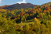'Zsil Valley,South Carpathians,Romania