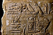 Egyptian bee hieroglyph