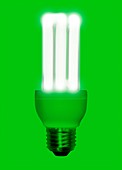 Energy-saving light bulb,artwork