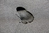 Footprint in black volcanic sand