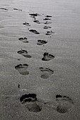 Footprints in black volcanic sand