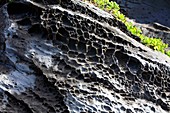 Volcanic rock erosion,Hawaii