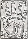Harmonious hand,17th century artwork