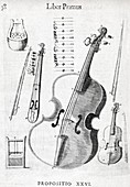 Violin,17th century artwork