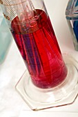 Coloured solution in a measuring cylinder