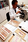 Examining tissue samples