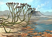 Prehistoric club moss,artwork