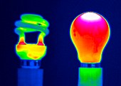 Comparing light bulbs,thermogram