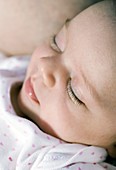 Six week old baby girl sleeping