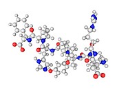 Angiotensin II molecule