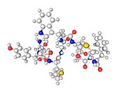 Cholecystokinin-8 molecule