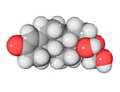 Cortisol hormone molecule