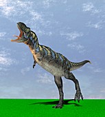 Aucasaurus dinosaur,computer artwork