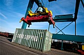 Container cargo and crane