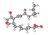 Prostaglandin F2a molecule