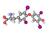 Thyroxine hormone molecule
