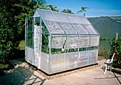 Polycarbonate greenhouse in a garden
