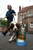 Fire investigation dog and handler