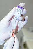 Swine flu vaccine