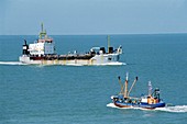 Cargo ship and fishing boat