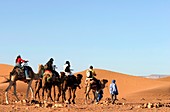 Tourists riding camels,Morocco