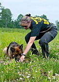 Police dog training