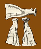 Kalmyk bone divination scapulas,artwork