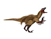 Utahraptor dinosaur,artwork