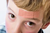 Plaster on a boy's forehead