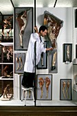 Historical animal anatomy models