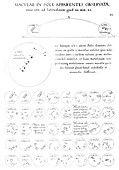 Christoph Scheiner's sunspot observations