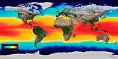 Sea surface temperature,2005 global map