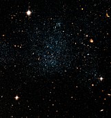 Dwarf galaxy Holmberg IX