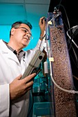 Soil-cleaning bacteria research