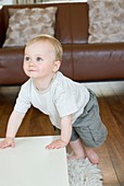 Toddler trying to stand up