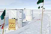 IceCube neutrino observatory,South Pole
