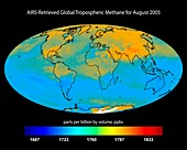 Global tropospheric methane,2005