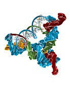Nanoscale DNA brick,molecular model