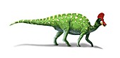 Corythosaurus,artwork