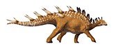 Kentrosaurus,artwork